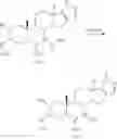 Fig. 37 - SHIP1 MODULATORS AND METHODS RELATED THERETO