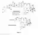 Fig. 02 - Palladium-mediated ketolization