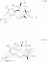 Fig. 220 - ETP derivatives
