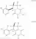Fig. 241 - ETP derivatives