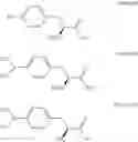 Fig. 09 - Method for preparing L-BPA