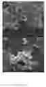 Fig. 10 - Bisphosphonates vinylic monomers and polymers and uses thereof