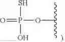 Fig. 05 - SUBSTITUTED NUCLEOSIDES, NUCLEOTIDES AND ANALOGS THEREOF