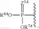 Fig. 16 - SUBSTITUTED NUCLEOSIDES, NUCLEOTIDES AND ANALOGS THEREOF