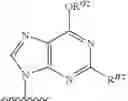 Fig. 70 - SUBSTITUTED NUCLEOSIDES, NUCLEOTIDES AND ANALOGS THEREOF