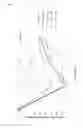 Fig. 08 - SELECTIVE PROGESTERONE RECEPTOR MODULATOR (SPRM) REGIMEN