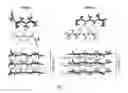 Fig. 02 - Structure-based peptide inhibitors of P53 aggregation as a new approach to cancer therapeutics