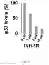 Fig. 08 - Structure-based peptide inhibitors of P53 aggregation as a new approach to cancer therapeutics