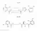 Fig. 02 - Compressed pathways for nonribosomal molecular biosynthesis