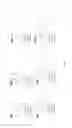 Fig. 08 - Compressed pathways for nonribosomal molecular biosynthesis