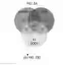 Fig. 02 - Targeting Apolipoprotein E (APOE) in Neurologic Disease