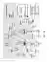 Fig. 06 - Targeting Apolipoprotein E (APOE) in Neurologic Disease