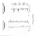 Fig. 35 - Targeting Apolipoprotein E (APOE) in Neurologic Disease