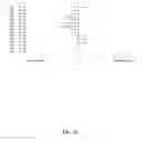Fig. 08 - IL-31 ANTIBODY COMPOSITIONS
