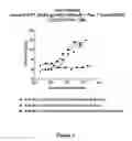 Fig. 07 - Bispecific molecules that are immunoreactive with immune effector cells that express an activating receptor and an antigen expressed by a cell infected by a virus and uses thereof