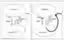 Fig. 01 - Compositions and methods to enhance the immune system