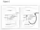 Fig. 02 - Compositions and methods to enhance the immune system