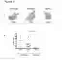 Fig. 04 - Compositions and methods to enhance the immune system
