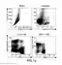 Fig. 02 - BTLA Antibodies and Uses Thereof