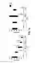 Fig. 03 - BTLA Antibodies and Uses Thereof