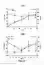 Fig. 12 - BTLA Antibodies and Uses Thereof