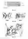 Fig. 02 - Inhibitors of prototypic galectin dimerization and uses thereof