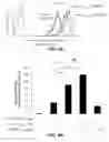 Fig. 05 - Inhibitors of prototypic galectin dimerization and uses thereof