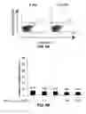 Fig. 09 - Inhibitors of prototypic galectin dimerization and uses thereof