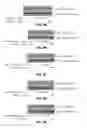 Fig. 11 - Inhibitors of prototypic galectin dimerization and uses thereof