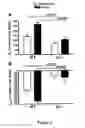 Fig. 04 - REGULATING IL-4 AND IL-13 LEVELS BY BLOCKING HIGH AFFINITY BINDING BY IL-3, IL-5 AND GM-CSF TO THEIR COMMON RECEPTOR