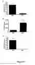 Fig. 06 - REGULATING IL-4 AND IL-13 LEVELS BY BLOCKING HIGH AFFINITY BINDING BY IL-3, IL-5 AND GM-CSF TO THEIR COMMON RECEPTOR