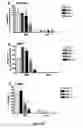 Fig. 07 - REGULATING IL-4 AND IL-13 LEVELS BY BLOCKING HIGH AFFINITY BINDING BY IL-3, IL-5 AND GM-CSF TO THEIR COMMON RECEPTOR