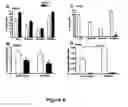 Fig. 09 - REGULATING IL-4 AND IL-13 LEVELS BY BLOCKING HIGH AFFINITY BINDING BY IL-3, IL-5 AND GM-CSF TO THEIR COMMON RECEPTOR