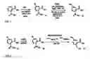 Fig. 03 - DIALKYLCARBOXYLATE-AROMATIC-FUNCTIONALIZED POLYMERS THAT DO NOT RELEASE ENDOCRINE DISRUPTING COMPOUNDS