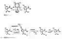 Fig. 04 - DIALKYLCARBOXYLATE-AROMATIC-FUNCTIONALIZED POLYMERS THAT DO NOT RELEASE ENDOCRINE DISRUPTING COMPOUNDS