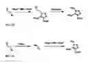 Fig. 09 - DIALKYLCARBOXYLATE-AROMATIC-FUNCTIONALIZED POLYMERS THAT DO NOT RELEASE ENDOCRINE DISRUPTING COMPOUNDS
