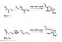 Fig. 10 - DIALKYLCARBOXYLATE-AROMATIC-FUNCTIONALIZED POLYMERS THAT DO NOT RELEASE ENDOCRINE DISRUPTING COMPOUNDS