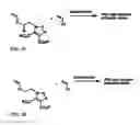 Fig. 11 - DIALKYLCARBOXYLATE-AROMATIC-FUNCTIONALIZED POLYMERS THAT DO NOT RELEASE ENDOCRINE DISRUPTING COMPOUNDS