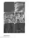 Fig. 02 - MULTIFUNCTIONAL GRAPHENE-SILICONE ELASTOMER NANOCOMPOSITE, METHOD OF MAKING THE SAME, AND USES THEREOF