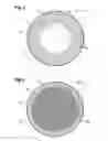 Fig. 02 - Elastomer Composition for an Insert for Supporting a Wheel Tyre, Insert Comprising the Composition and Mounted Assembly Incorporating the Insert