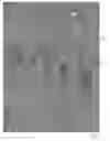 Fig. 01 - Polycarbonate resin composition having excellent thermal decomposition resistance