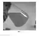 Fig. 08 - Winterization of fish oil