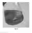 Fig. 09 - Winterization of fish oil