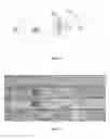Fig. 02 - Device for mechanical and hydrodynamic microfluidic transfection