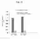 Fig. 13 - Method for culturing animal cell composition, method for producing animal cell composition using same, and animal cell composition
