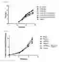 Fig. 06 - Cell culturing method using nucleic acid-containing medium