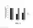 Fig. 04 - ESTABLISHING PLURIPOTENCY IN MOUSE EMBRYONIC STEM CELLS