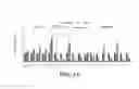 Fig. 07 - ESTABLISHING PLURIPOTENCY IN MOUSE EMBRYONIC STEM CELLS