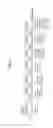 Fig. 02 - Method for inducing differentiation of neural crest cells into neurons of the autonomic nervous system