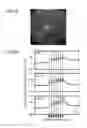 Fig. 08 - Method for inducing differentiation of neural crest cells into neurons of the autonomic nervous system